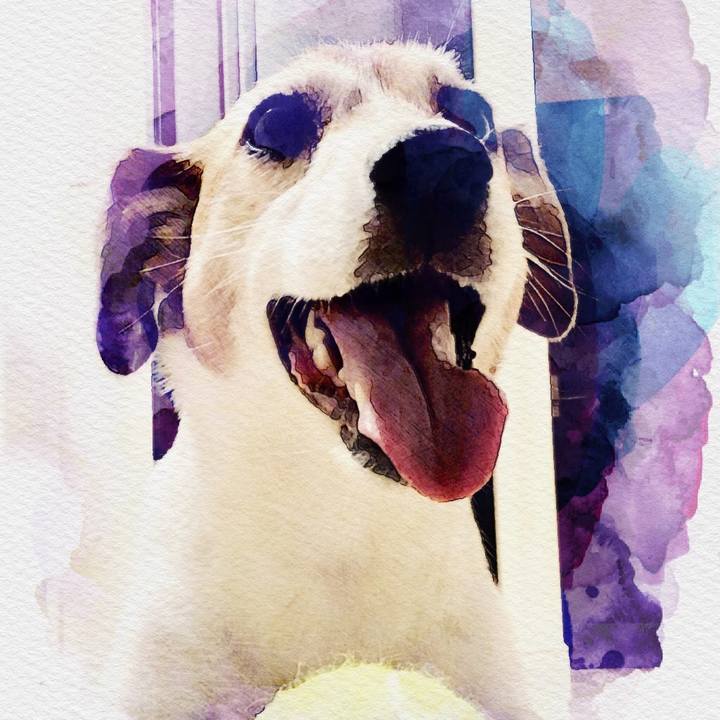 9f9bdfc1 e90b 4699 afb5 7404177a4f0e 1536327583798