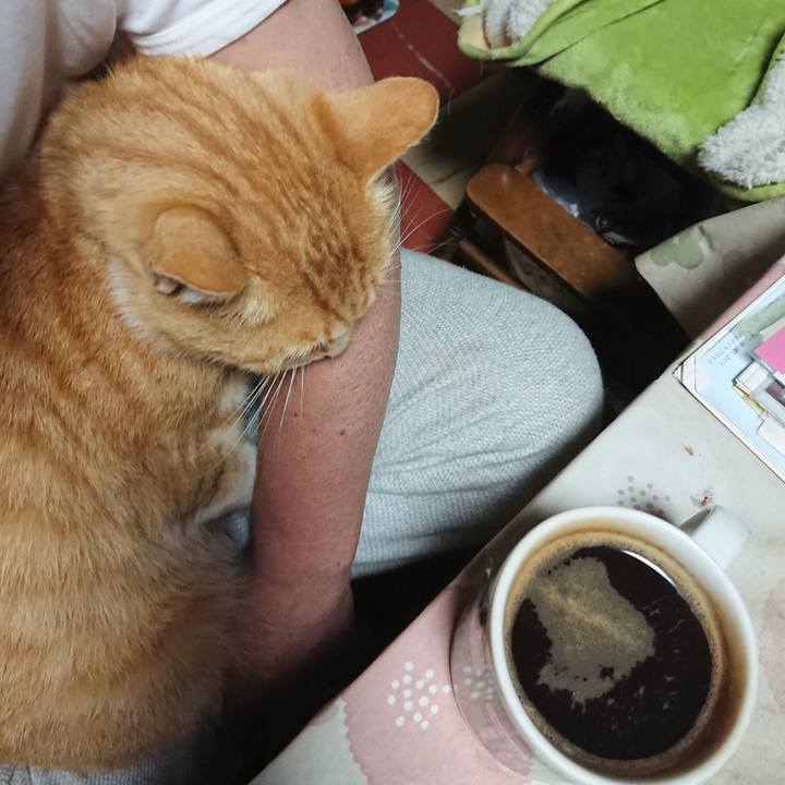 9f9c7acf f9d5 42cc a3d8 93bcd1b39fb1 1591644225648