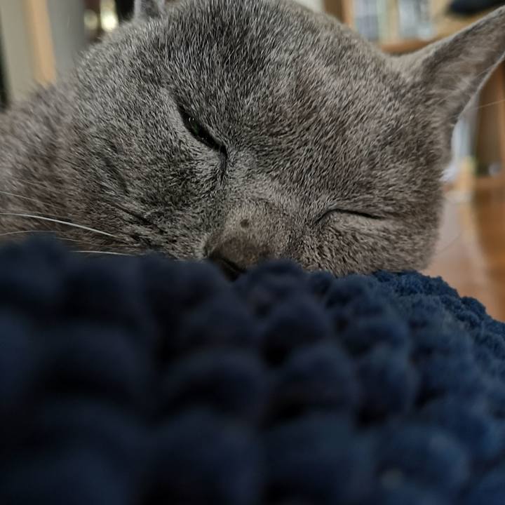 9f9c8ab0 0a98 4645 9650 52e033138d9f 1684025534390