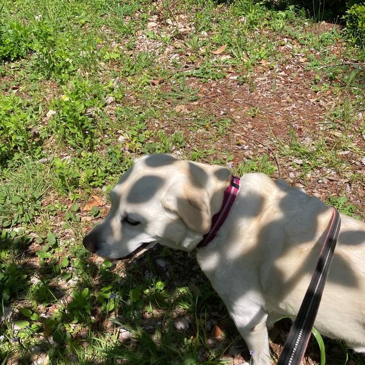 9f9c98c2 50de 41a7 8ece 2e91496371f0 1714895794742