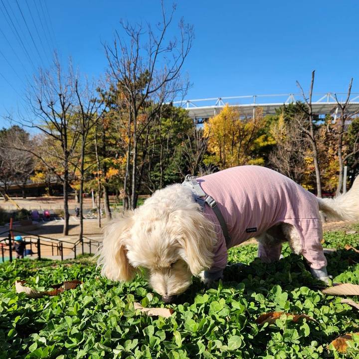 9f9cad85 a71b 4b19 9377 df19da29cbf6 1765247261402