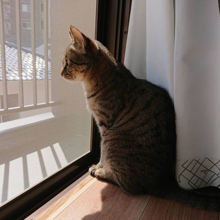 9f9cb743 f2a2 4095 8f8c ebb719844ec9 1555116767136