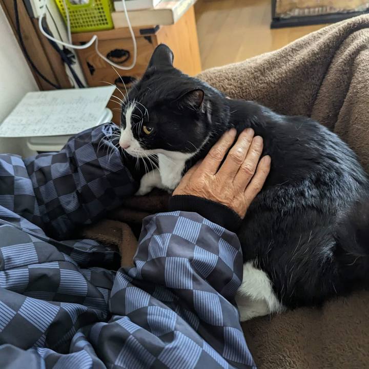 9f9cd370 5909 46b2 af6a b882fff1025c 1701502419851