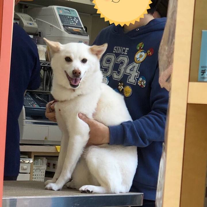 9f9d55c7 7418 4ed9 b65f 4df901aa3300 1556780253721