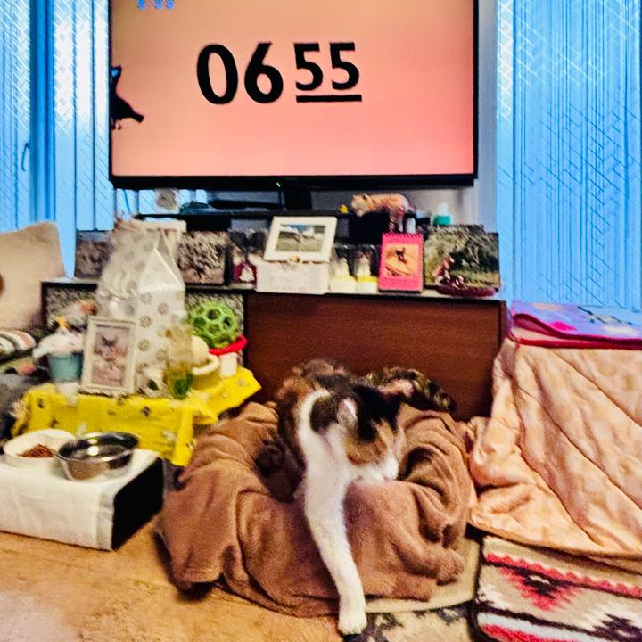 9f9d8749 a903 4e07 9757 796b7f156d58 1742508069438