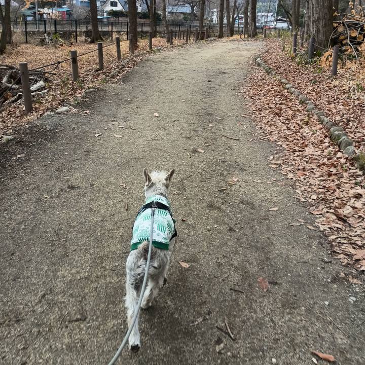 9f9da993 811a 491b 9f2f 16658ea41258 1774702417189