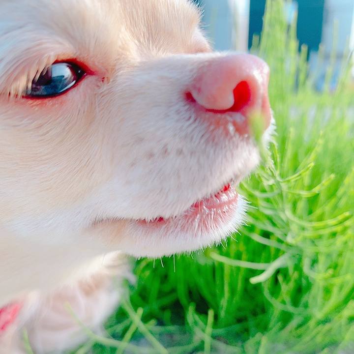 9f9dbd7e 3245 4a6e b09b 2f30964376ce 1620636738246