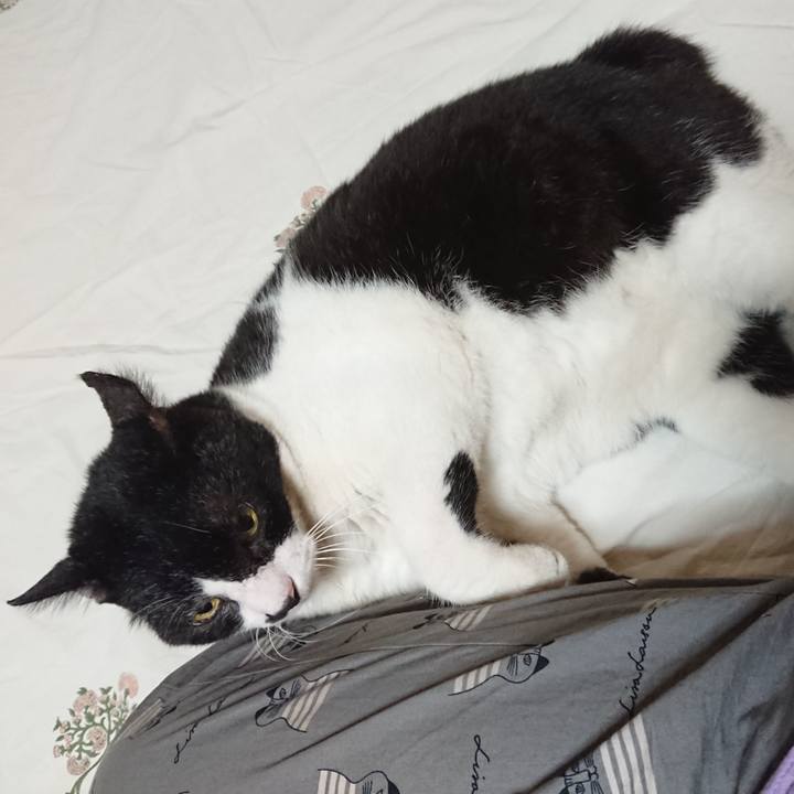 9f9dceae ace5 4796 9aef 26c04bb8df49 1663326464979