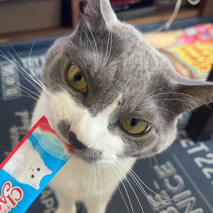 9f9de4c5 86d0 40a0 8216 124cd6a60432 1696919685320