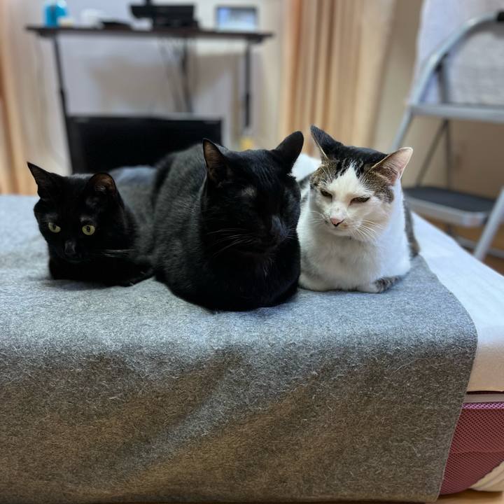 9f9de8fe 8676 4f9f 8bd5 28db958673fe 1675311454270