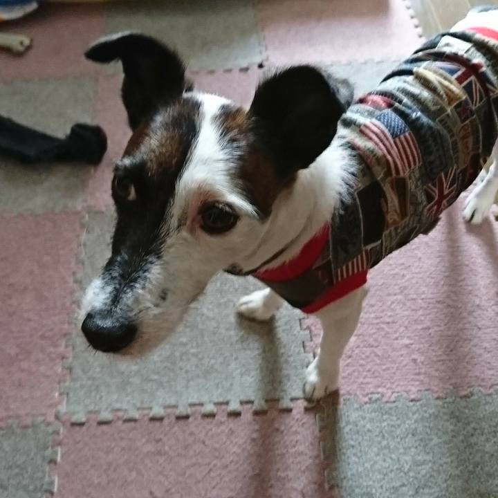 9f9e164e 2d1b 48f8 a7eb 423c9fb738f9 1536187240217