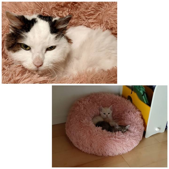 9f9e40f8 f6e7 4908 917a b205e9cccf26 1623030696947