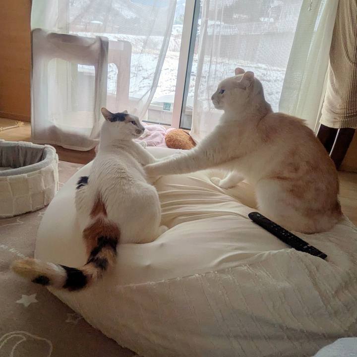 9f9e77ad 1849 4f9e b4ed 7db3d97a18a9 1769146615276