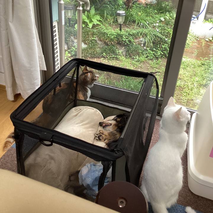 9f9e8e4e cf09 4adc a01b 7e97c6d0ab34 1649995486412