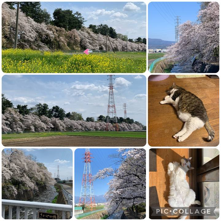 9f9e92e9 dcf4 485d b575 ad9de87e6737 1712978874322