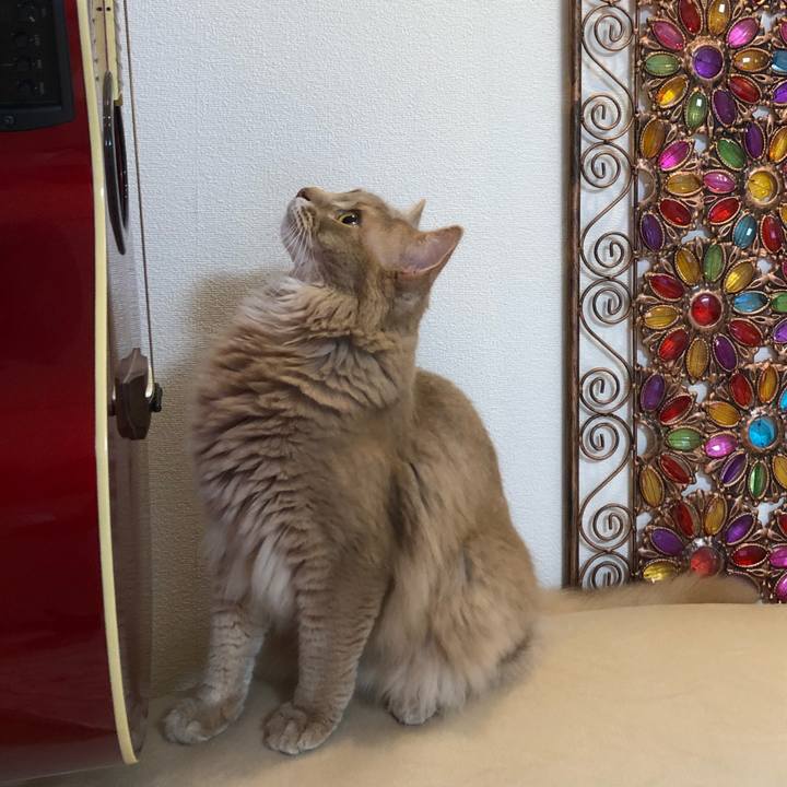 9f9ea7e0 f3a9 4c7c a3b6 34e253fc9538 1593824284417