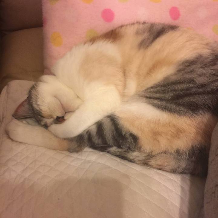 9f9ecc2c 7f09 45e2 bd53 a325946bd399 1547998118451