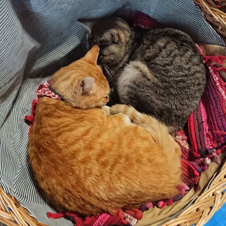 9f9ece4c 08ec 476a 927d 766dbc3bf270 1558514428594