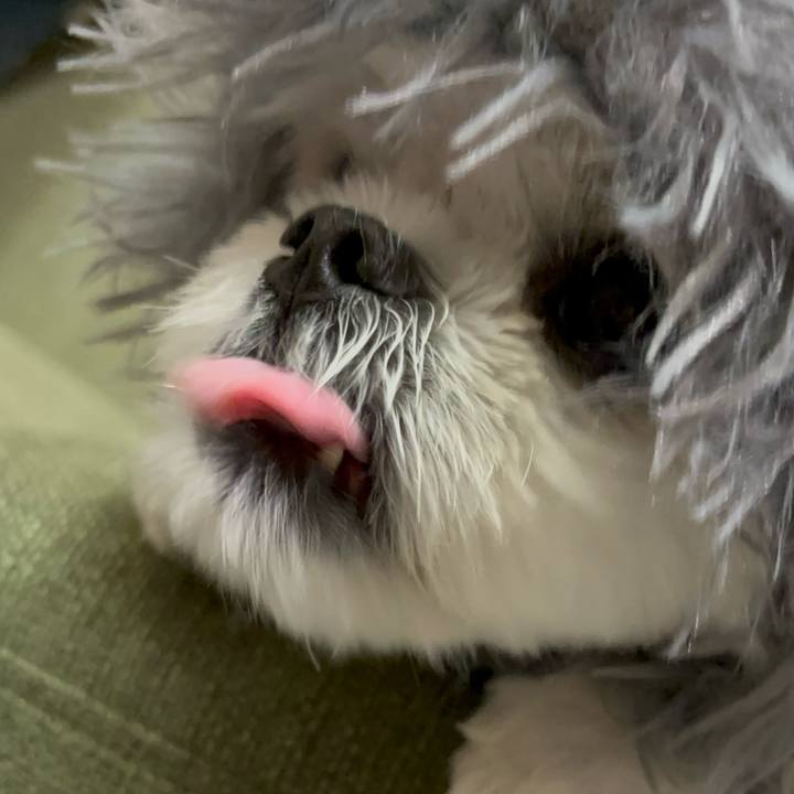 9f9eefbe e970 4318 9121 b6fe558c67af 1730817591252