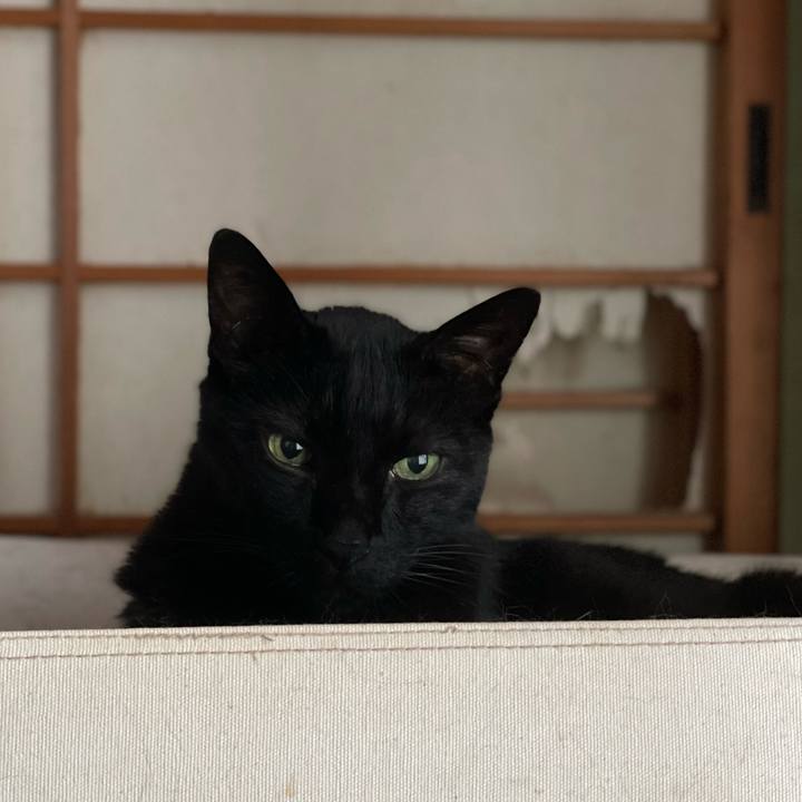 9f9fbe9d 2dbe 47dc b6d6 f17a6d471510 1658188097545