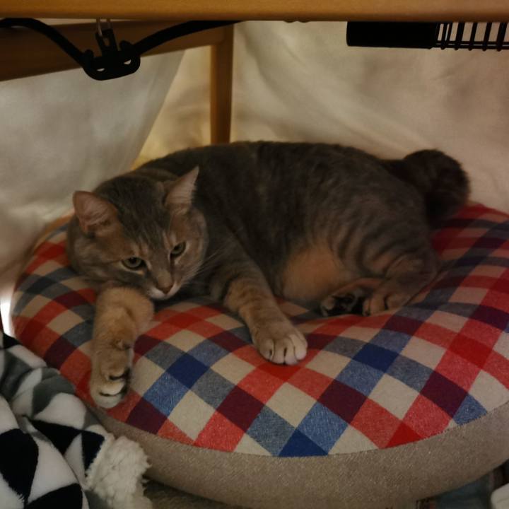 9f9fbfbe f173 485c a217 873b8e1d4195 1636199385700