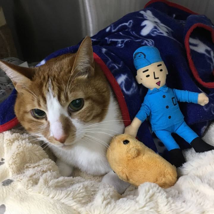 9fa00002 6ad4 47eb 9c3e b950172894cd 1514596108123