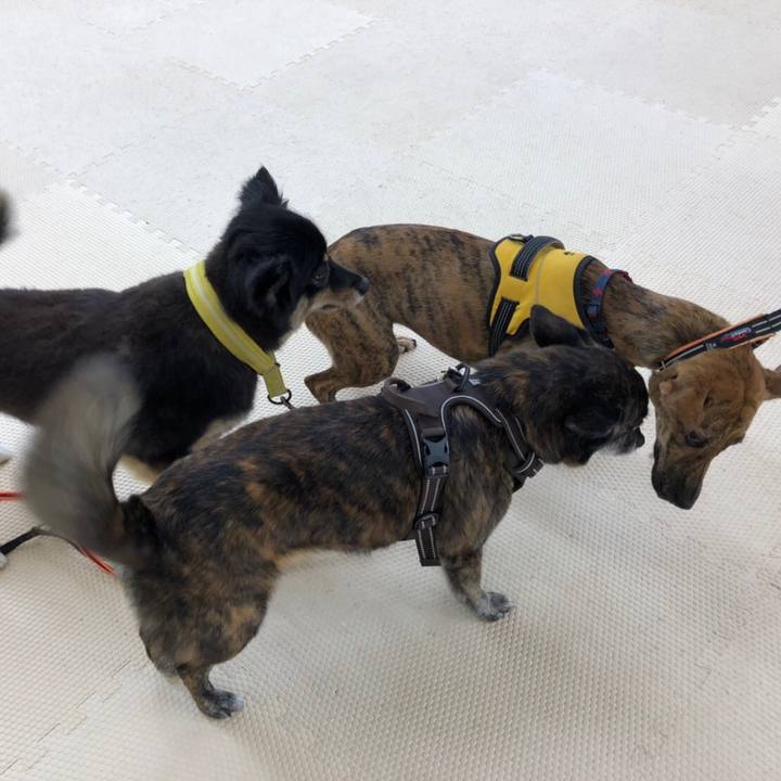 9fa031eb ef1e 46fb 82bb 429a50a26f23 1624665814195