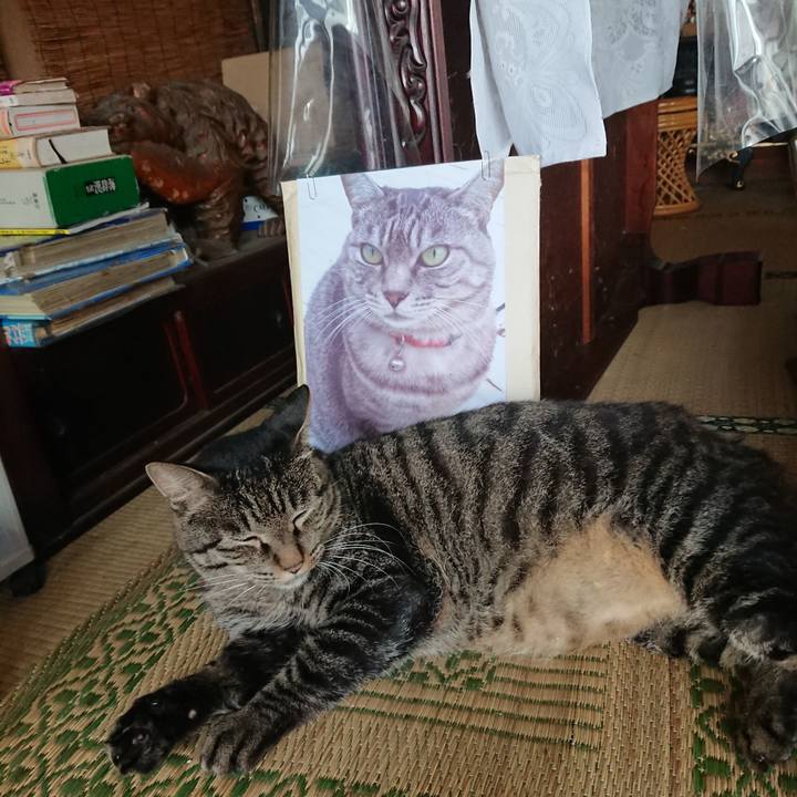 9fa033d6 0b39 47d7 99ed 0a93bf5cc468 1662109320588