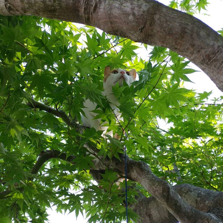 9fa042a7 26dc 4395 b1e3 82eb0e37ceff 1527328108251