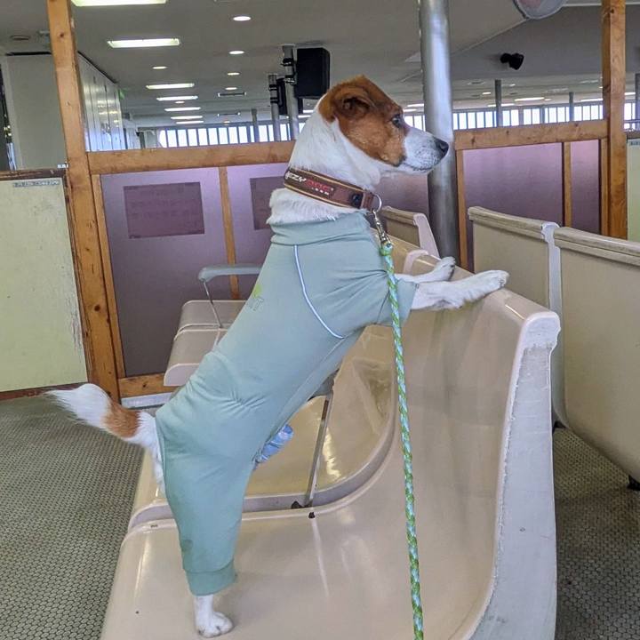 9fa0632f 3178 4c3f 8aab b63a9dac929d 1747899067228