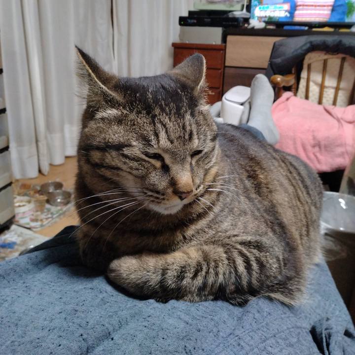 9fa06d43 a28c 414f 8848 09cf9a524753 1713354730712