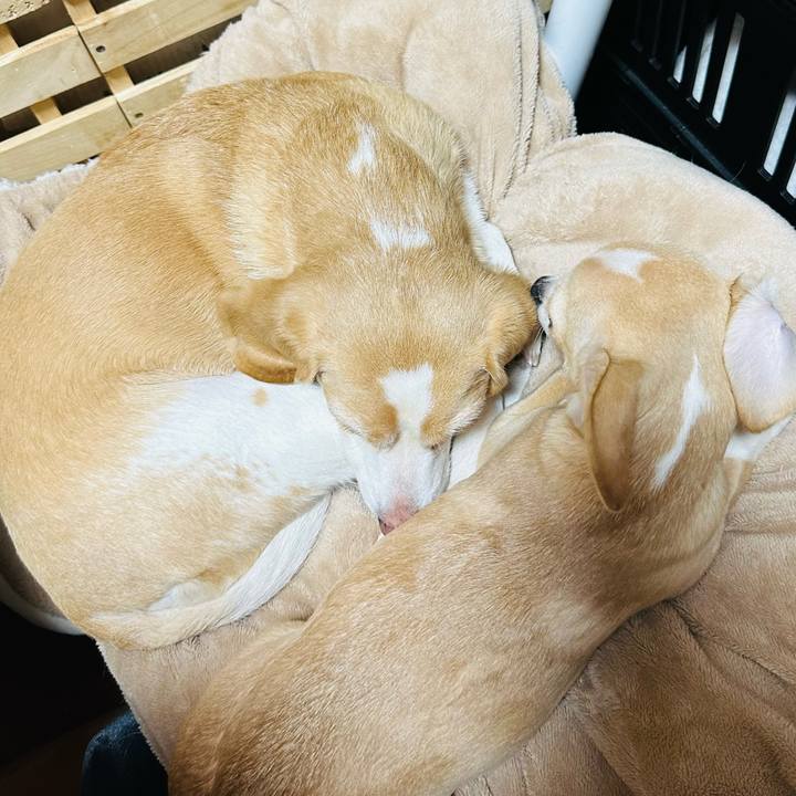 9fa0a1e7 0e3b 4ddc 9f0b 51ef13cb8e9b 1675349556582