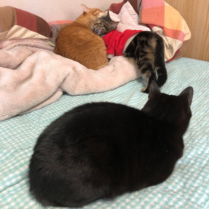 9fa0bab9 1638 4ed3 a4ad f560860ac0b8 1738361597939