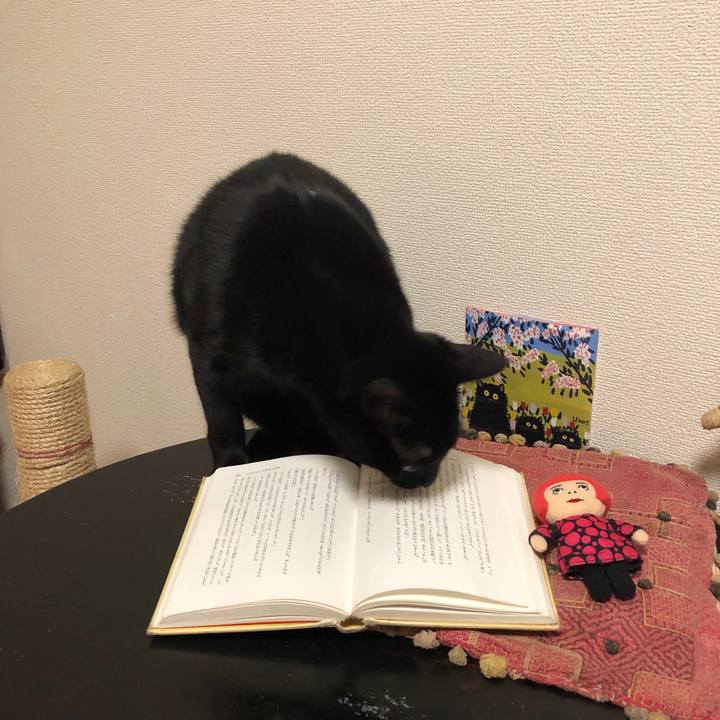 9fa1135d e797 4a49 b833 f18604c5c2e8 1544189830993