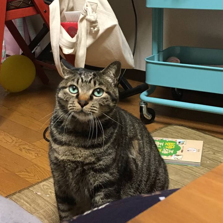 9fa1154d 305c 44bd 9ffb 27dfc503f218 1517579526004