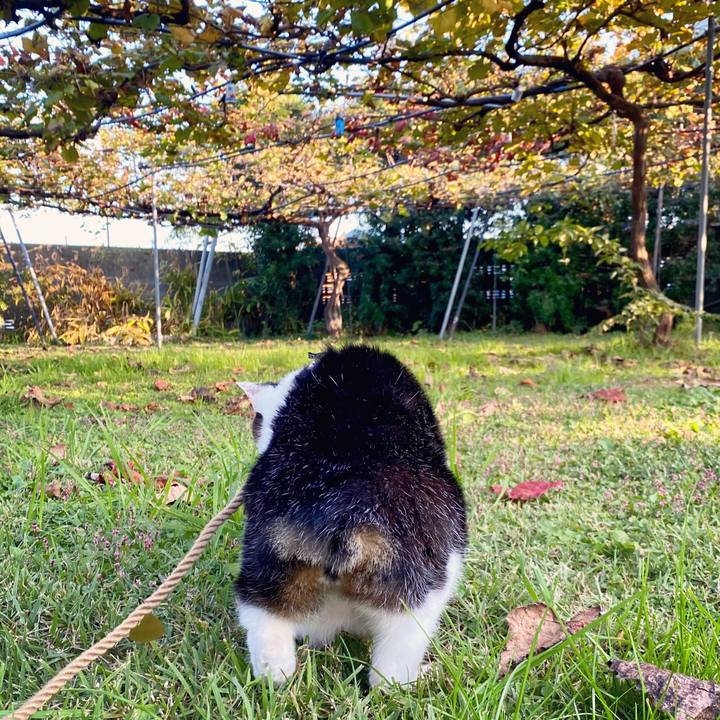 9fa1237d 37ad 455b 8622 eb7b7d01a853 1604129095180