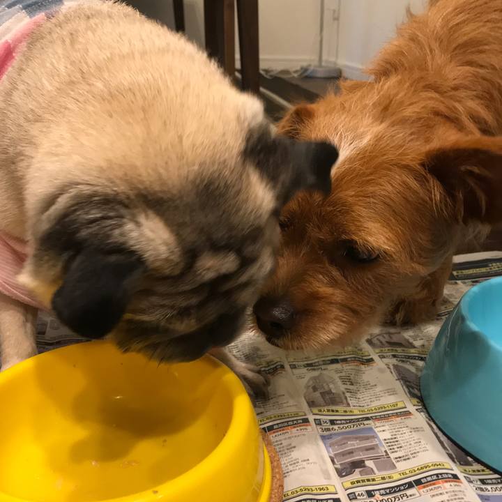 9fa13f53 18d9 4c6a 8320 f0db734d983c 1565088287221