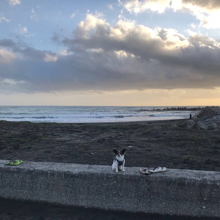 9fa153f1 dc86 4cd9 bbc7 1b525f4f9de5 1540678170563