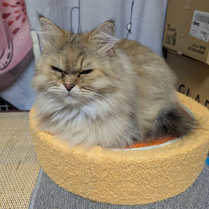 9fa17e2a ddce 40be a6c1 77c6a6ac989d 1759324609185