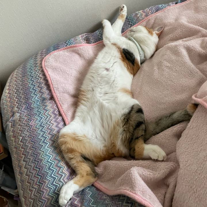 9fa17fb9 ec95 4aac a60a f3d1cf5b79bf 1664235032388