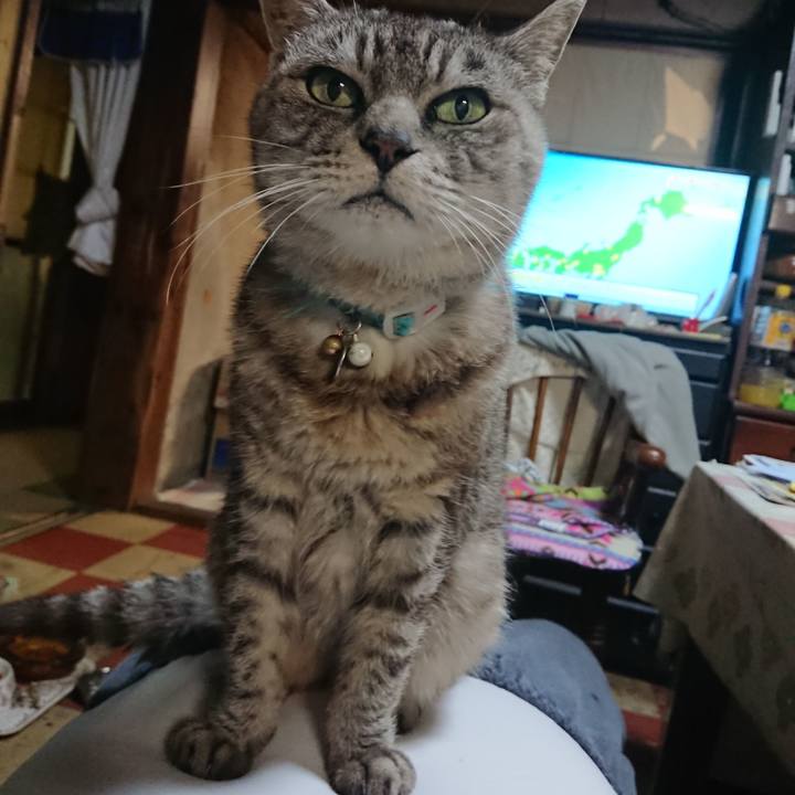 9fa18942 57f8 4dba adb6 cdabdba78202 1570015113485