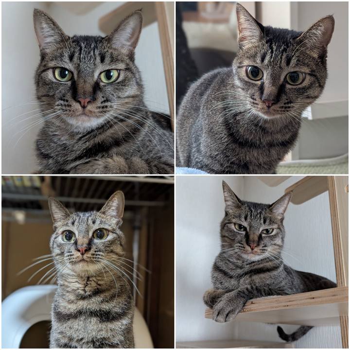 9fa1a315 6aa2 40a4 aae9 3815bcc00e1e 1741692728364