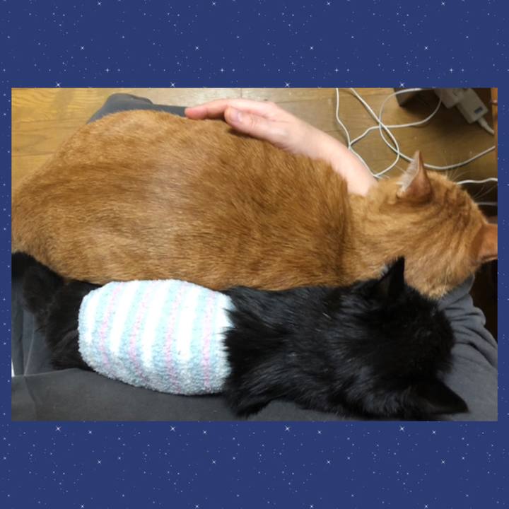 9fa1cddf 01cd 4d73 ac13 839b2f1a9d82 1644664232731