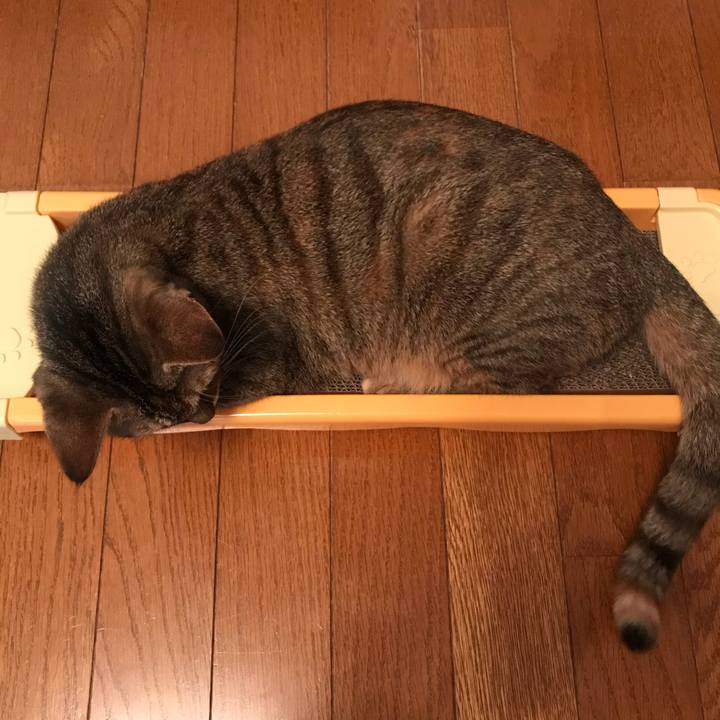 9fa1cf35 441e 4621 949b 1886c36dd6c9 1580266773011