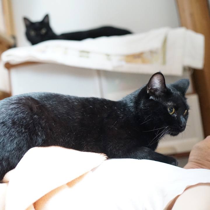 9fa1efb7 aa1b 40e9 92ca 42f36afca18a 1529808419019