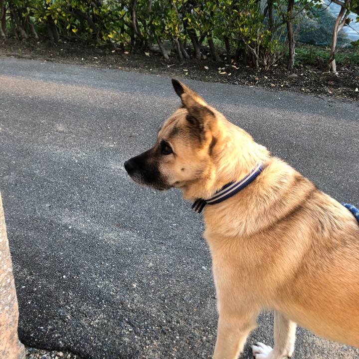 9fa1f99a a71c 4f60 a183 34c5aa11e557 1605096993389