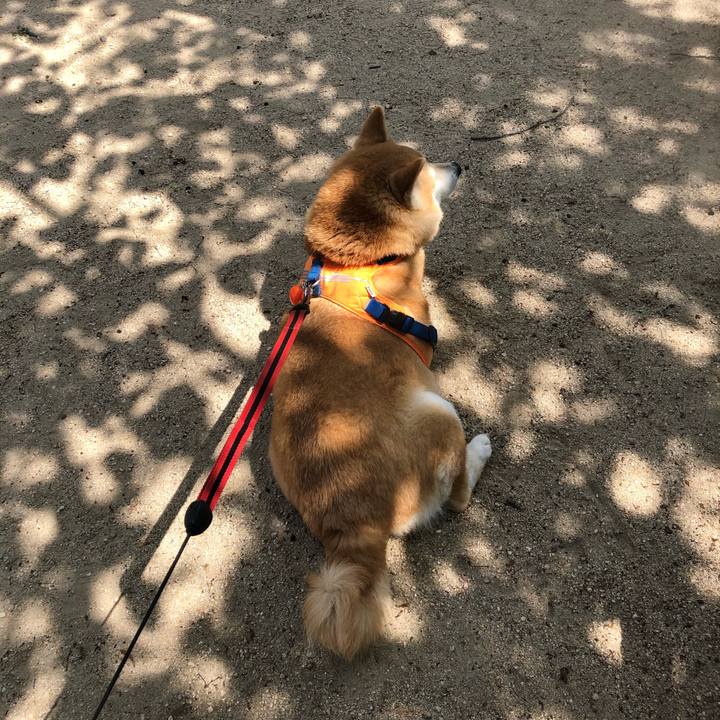 9fa215d4 3273 40d8 ba89 eb36b660b14f 1590042072677