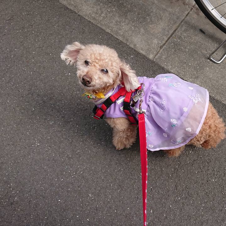 9fa223f3 2a8d 4de7 a6b2 006b50cc66d4 1617501124751