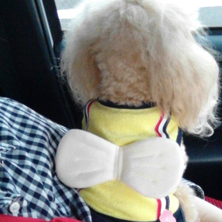 9fa2669d 2f7f 4634 af05 d0f49d36ea9f 1562331387929