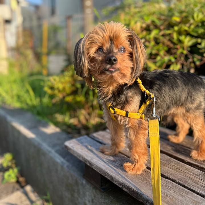 9fa286aa 2a95 4353 8e34 e3de469d3841 1721858998192